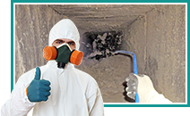 Air Duct Mold Removal